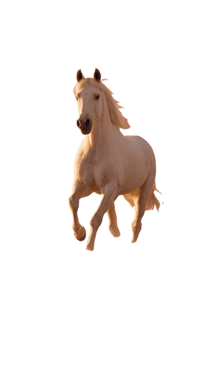 White Horse Sunset V2 Vinyl Car Decal Sticker – Waterproof & UV-Resistant 9.706666666666667"