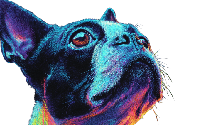 Blacklight Boston Terrier V2 Vinyl Car Decal Sticker – Waterproof & UV-Resistant 5.4