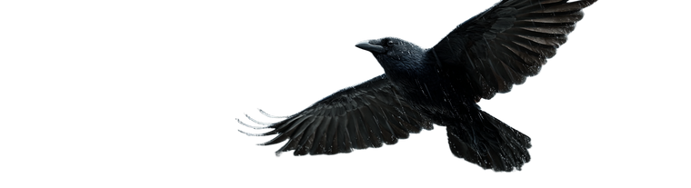 Storm Crow Vinyl Car Decal Sticker – Waterproof & UV-Resistant 3.8