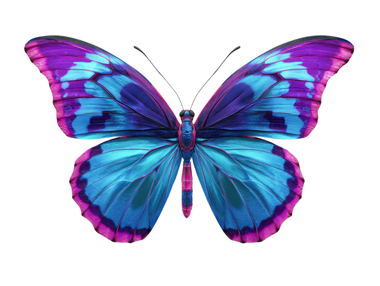 Vivid Butterfly V2 Vinyl Car Decal Sticker – Waterproof & UV-Resistant 6.1866666666666665"