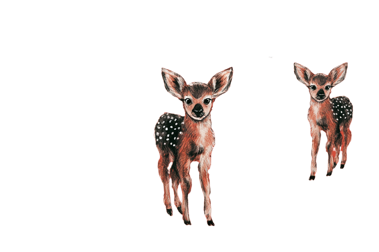 Baby Deer Pattern V2 Vinyl Car Decal Sticker – Waterproof & UV-Resistant 2.986666666666667"