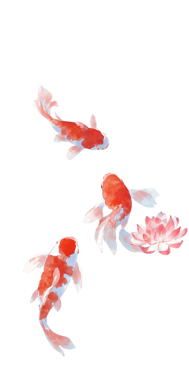 Red Koi Pond V2 Vinyl Car Decal Sticker – Waterproof & UV-Resistant 5.12"