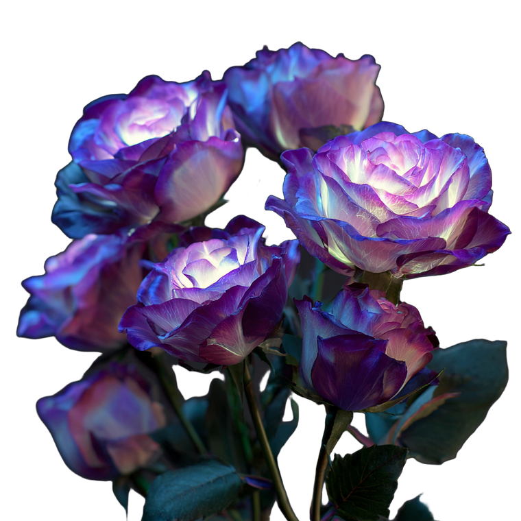 Glowing Roses Vinyl Car Decal Sticker – Waterproof & UV-Resistant 3.4133333333333336"