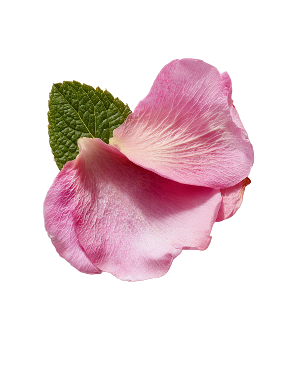Mint And Rose Vinyl Car Decal Sticker – Waterproof & UV-Resistant 4.0"