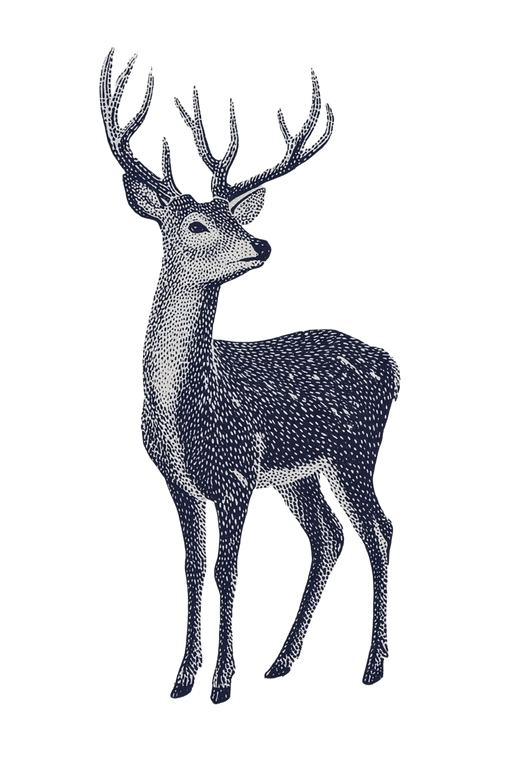 Monochrome Stag Vinyl Car Decal Sticker – Waterproof & UV-Resistant 8.96"