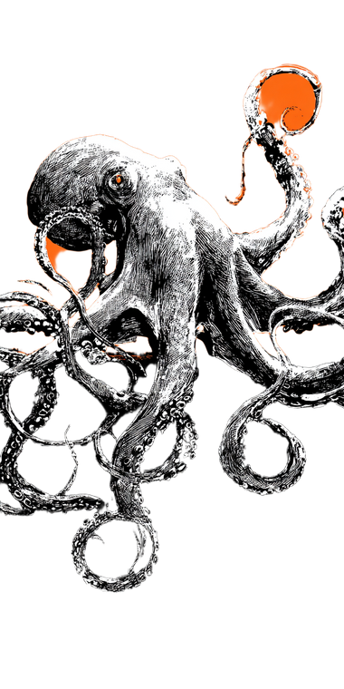 Ink Octopus Sketch Vinyl Car Decal Sticker – Waterproof & UV-Resistant 5.12"