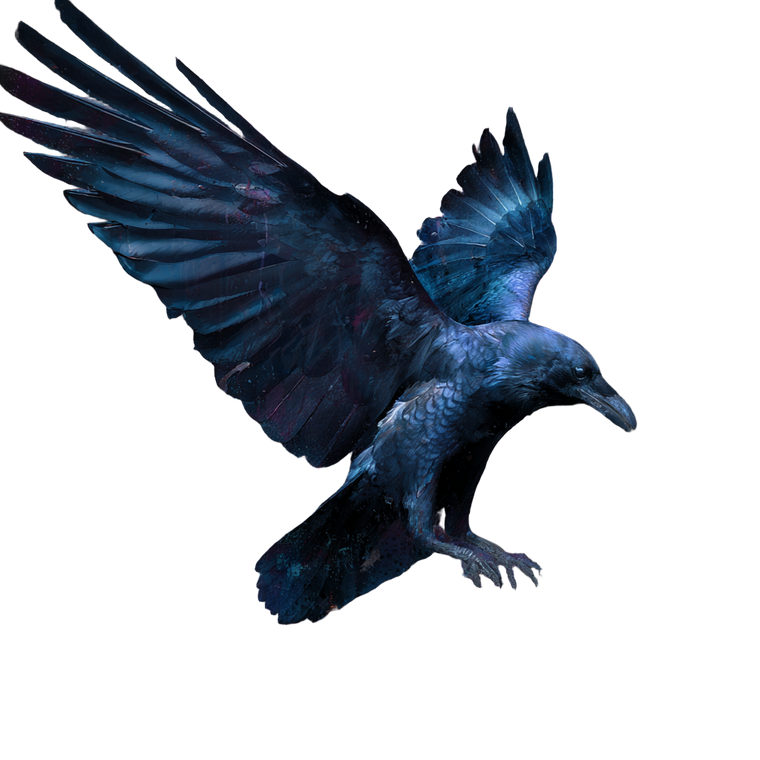 Uv Raven Graffiti Vinyl Car Decal Sticker – Waterproof & UV-Resistant 6.826666666666667"