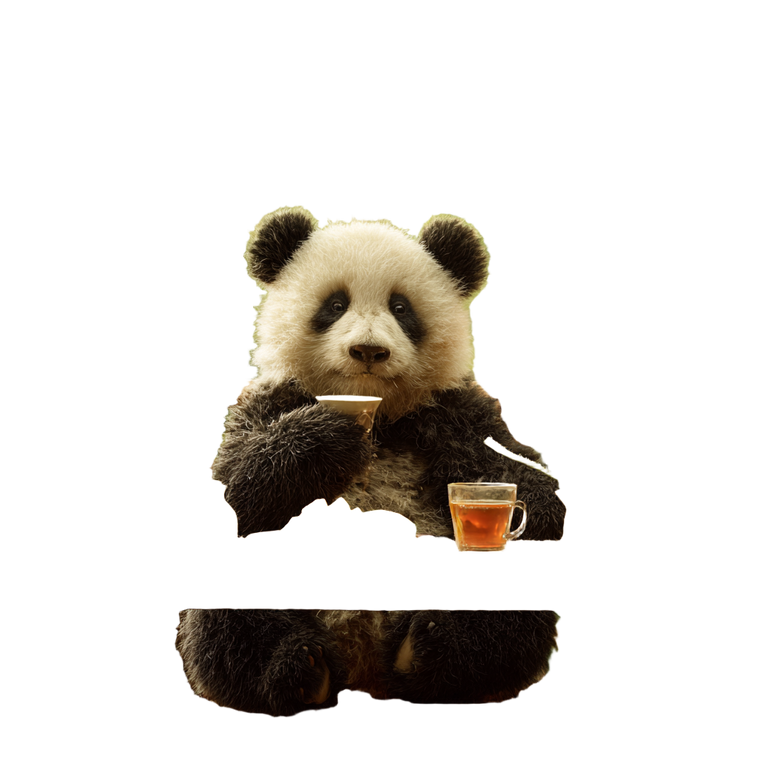 Panda Eating Mango Vinyl Car Decal Sticker – Waterproof & UV-Resistant 3.4133333333333336"