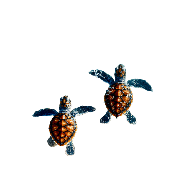 Baby Turtles Running Vinyl Car Decal Sticker – Waterproof & UV-Resistant 6.826666666666667"