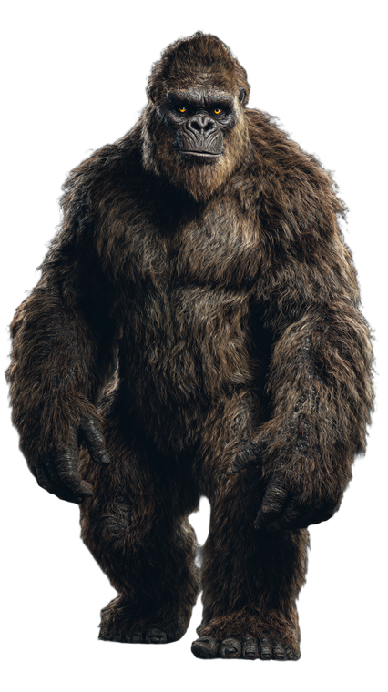 Towering Humanoid Bigfoot Vinyl Car Decal Sticker – Waterproof & UV-Resistant 9.706666666666667"