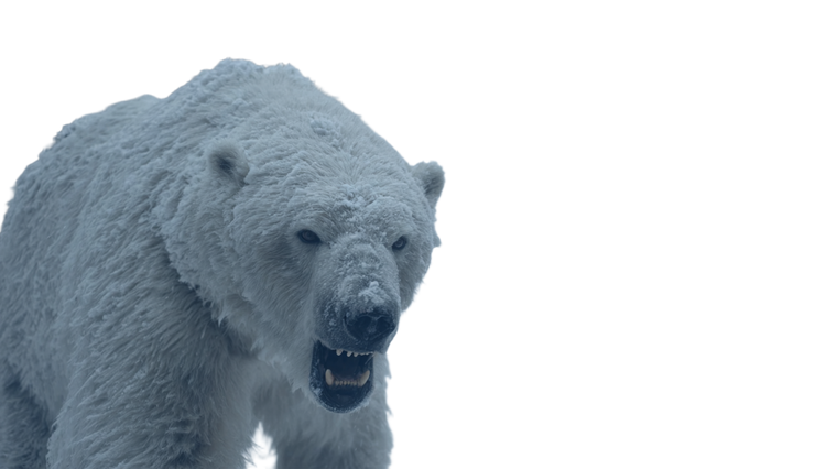 Angry Polar Bear V7 Vinyl Car Decal Sticker – Waterproof & UV-Resistant 2.72"