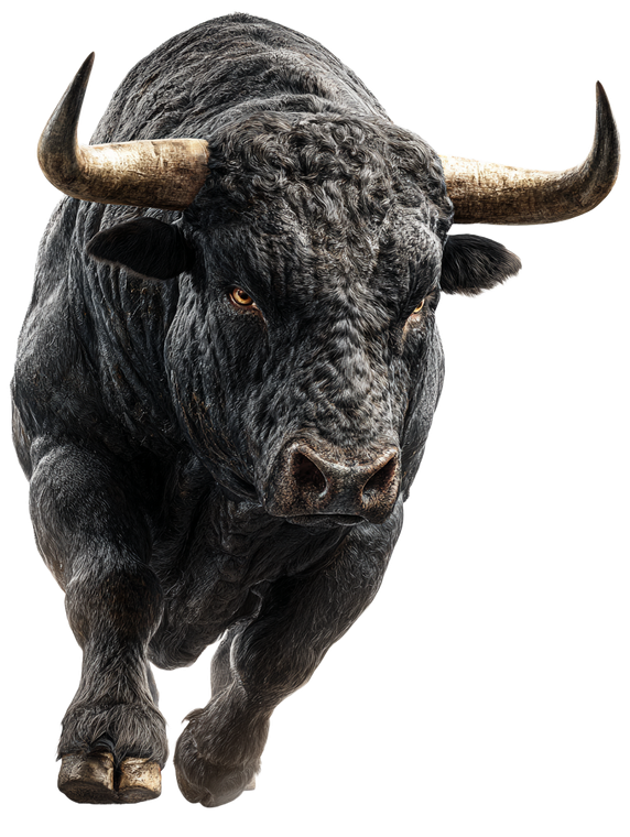Angry Running Bull Vinyl Car Decal Sticker – Waterproof & UV-Resistant 4.1066666666666665"