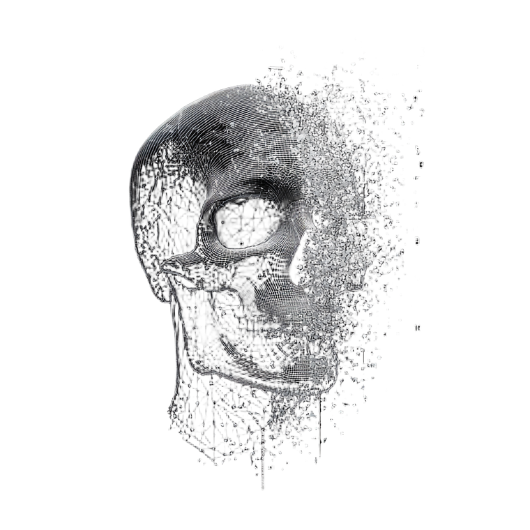Dissolving Skull Diagram Vinyl Car Decal Sticker – Waterproof & UV-Resistant 6.826666666666667"