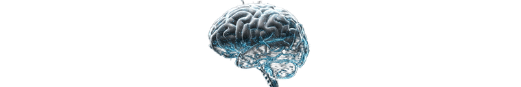 Schematic Brain Visualization Vinyl Car Decal Sticker – Waterproof & UV-Resistant 2.986666666666667"