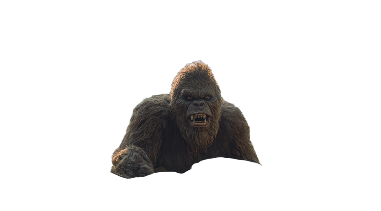 Roaring Bigfoot Encounter Vinyl Car Decal Sticker – Waterproof & UV-Resistant 2.72"
