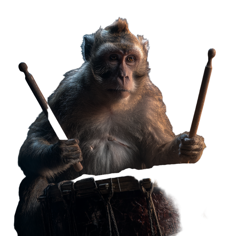 Drumming Monkey Vinyl Car Decal Sticker – Waterproof & UV-Resistant 6.826666666666667"
