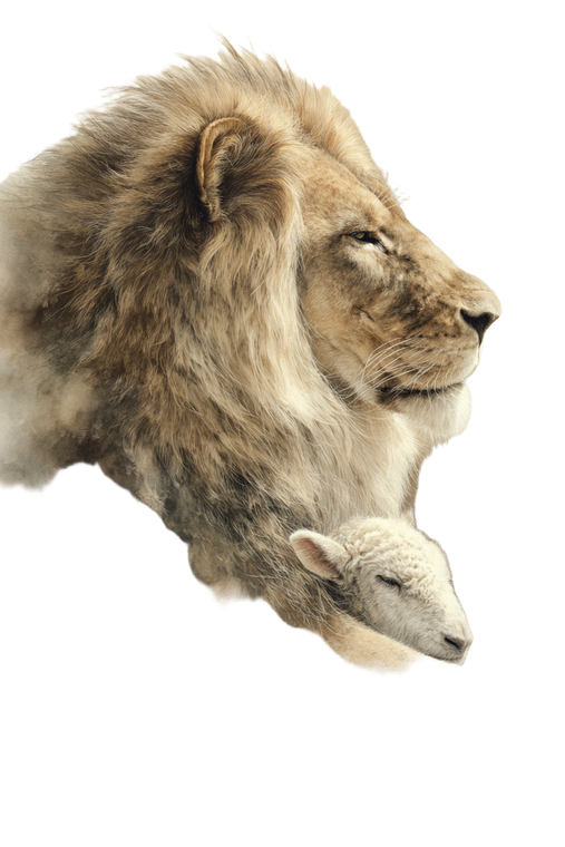 Lion With Lamb V2 Vinyl Car Decal Sticker – Waterproof & UV-Resistant 4.4