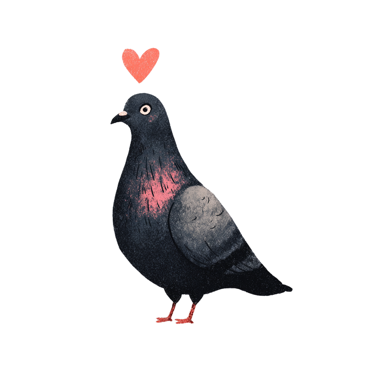 Pigeon With Heart Vinyl Car Decal Sticker – Waterproof & UV-Resistant 3.4133333333333336"