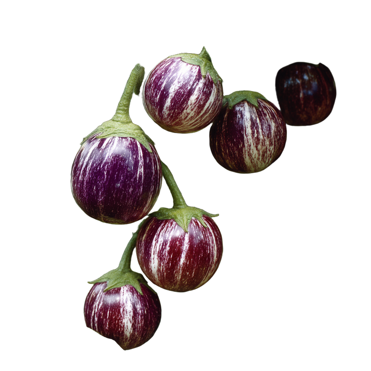 Pinstripe Eggplant Vinyl Car Decal Sticker – Waterproof & UV-Resistant 6.826666666666667"