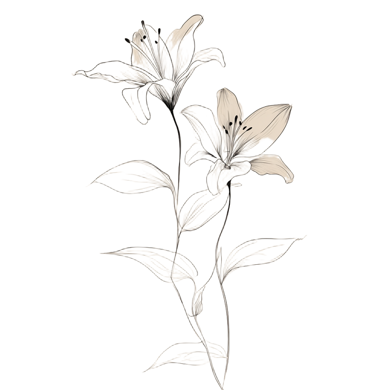 Tiger Lilies Drawing V2 Vinyl Car Decal Sticker – Waterproof & UV-Resistant 3.4133333333333336"
