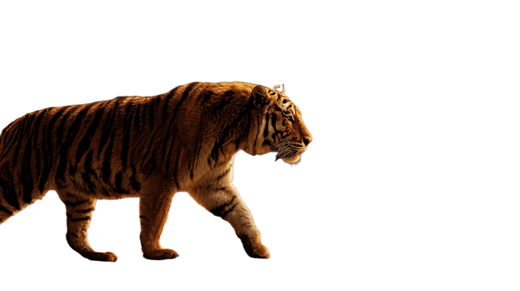 Tiger In Flames Vinyl Car Decal Sticker – Waterproof & UV-Resistant 2.72"