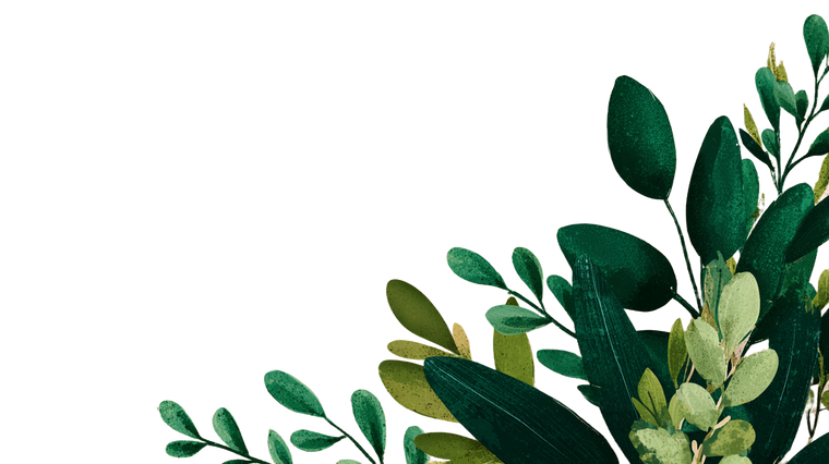 Green Nature Leafs Vinyl Car Decal Sticker – Waterproof & UV-Resistant 5.4