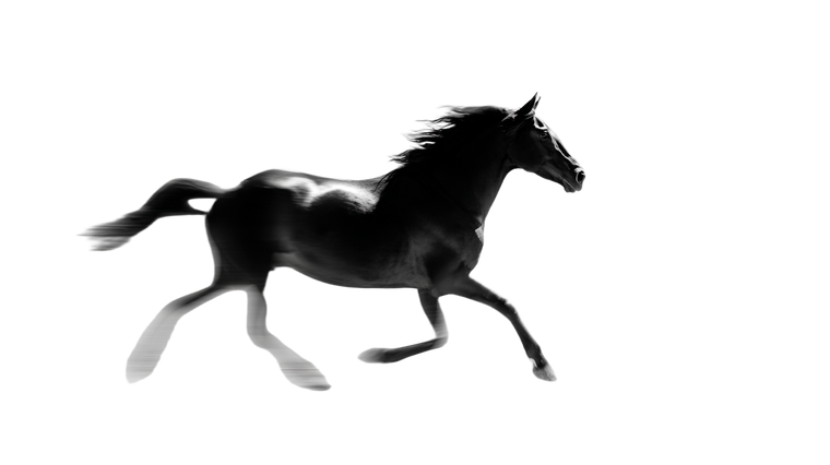Galloping Horse Silhouette V7 Vinyl Car Decal Sticker – Waterproof & UV-Resistant 2.72"