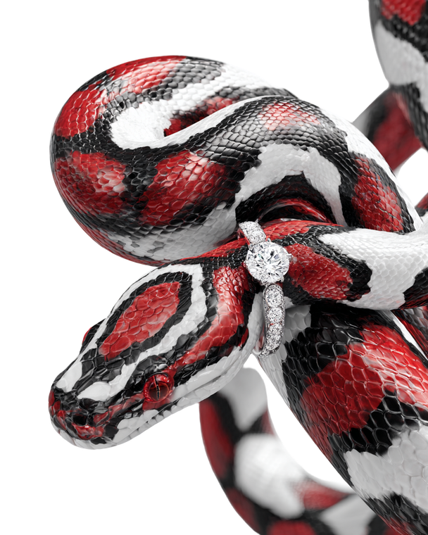 Gucci Style Boa V12 Vinyl Car Decal Sticker – Waterproof & UV-Resistant 8.0"