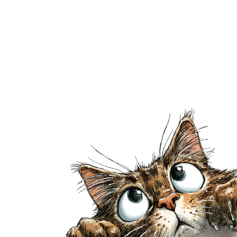 Curious Tabby Cat V26 Vinyl Car Decal Sticker – Waterproof & UV-Resistant 3.4133333333333336"