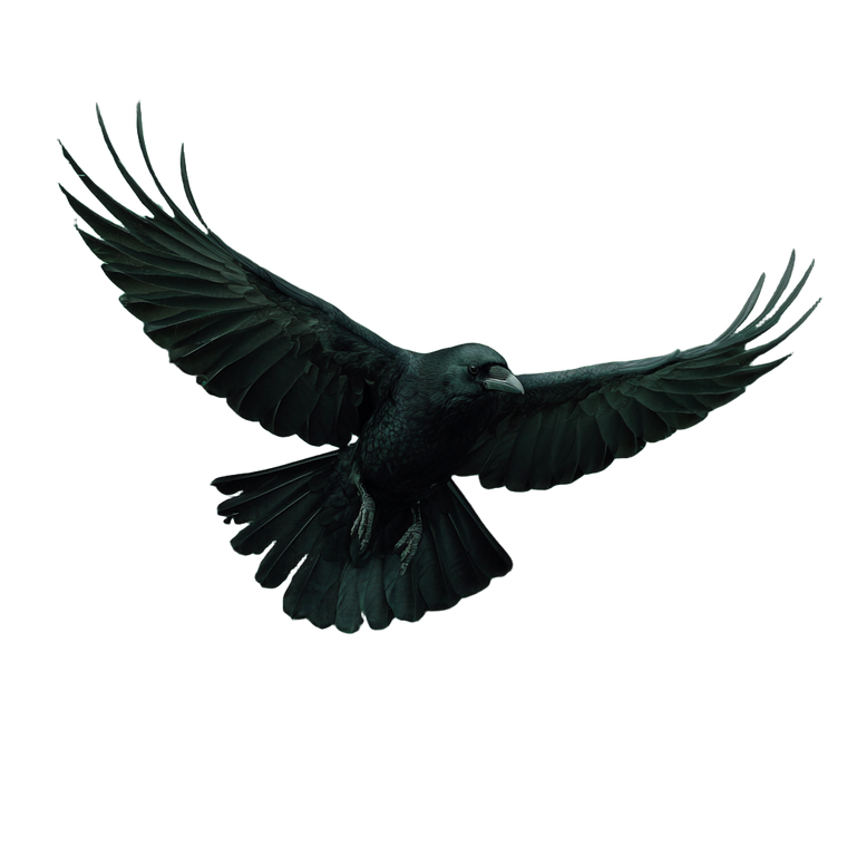Crow In Smoke Vinyl Car Decal Sticker – Waterproof & UV-Resistant 6.826666666666667"