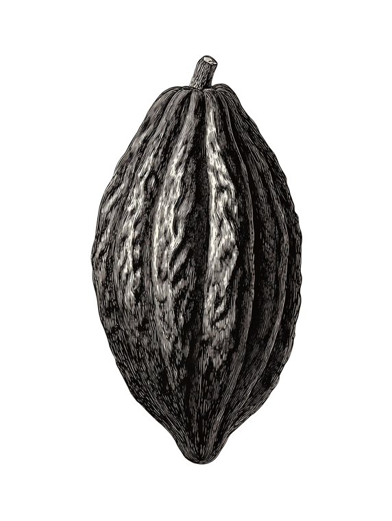 Detailed Cacao Pod V2 Vinyl Car Decal Sticker – Waterproof & UV-Resistant 4.1066666666666665"