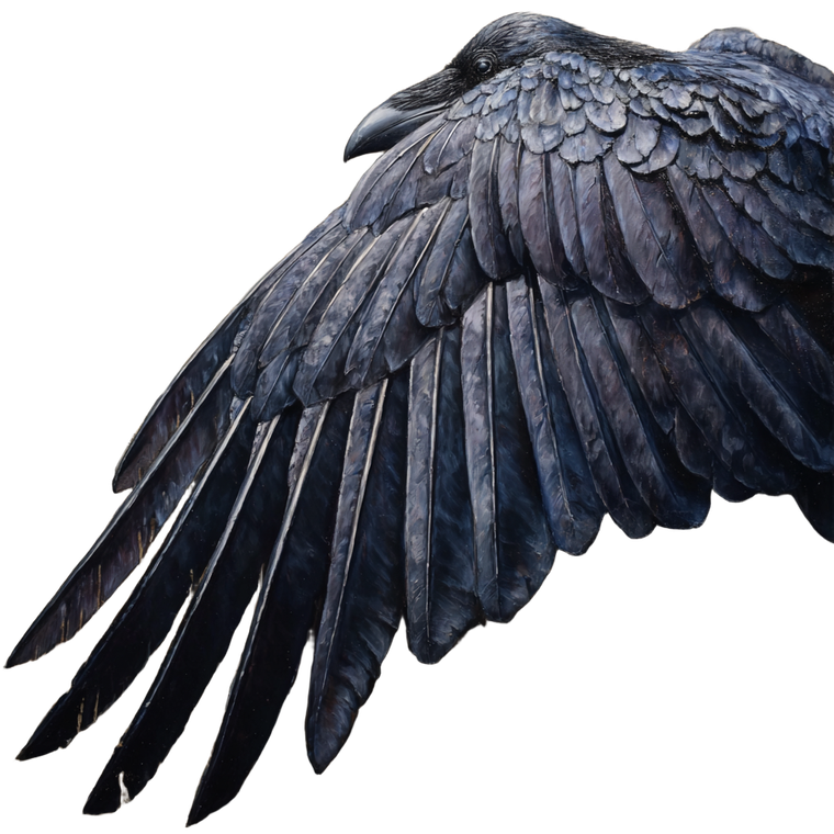 Raven Wings V2 Vinyl Car Decal Sticker – Waterproof & UV-Resistant 6.826666666666667"