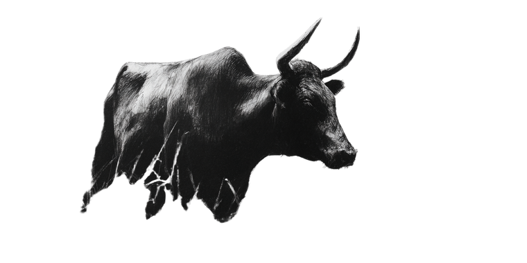 Abstract Nguni Cow Vinyl Car Decal Sticker – Waterproof & UV-Resistant 2.56"