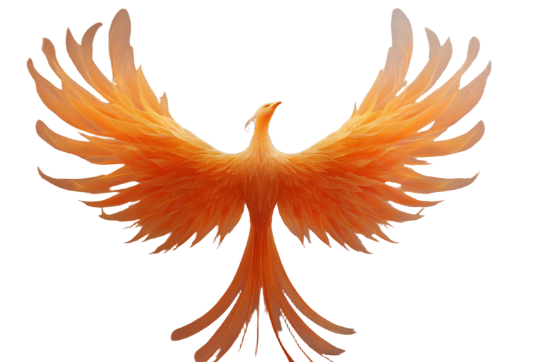 Fiery Phoenix Rising V11 Vinyl Car Decal Sticker – Waterproof & UV-Resistant 5.97333333333333