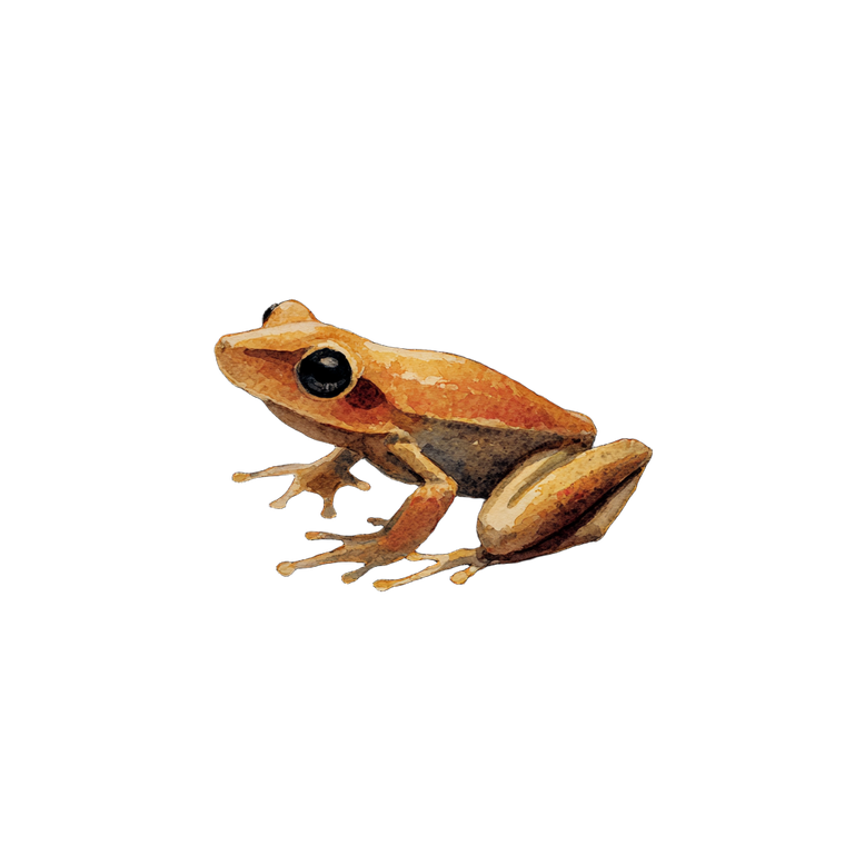 Tiny Jumping Frog V2 Vinyl Car Decal Sticker – Waterproof & UV-Resistant 6.826666666666667"