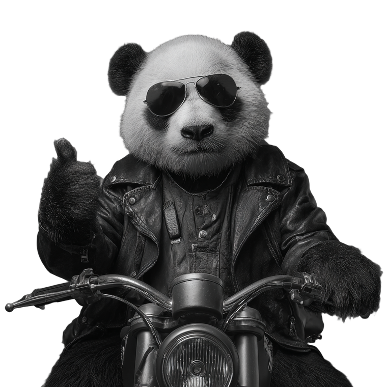 Panda Biker Vinyl Car Decal Sticker – Waterproof & UV-Resistant 6.826666666666667"