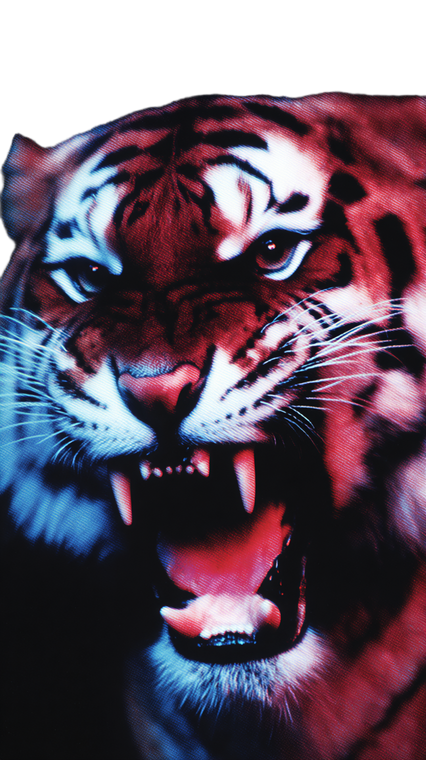 Tiger V59 Vinyl Car Decal Sticker – Waterproof & UV-Resistant 9.706666666666667"