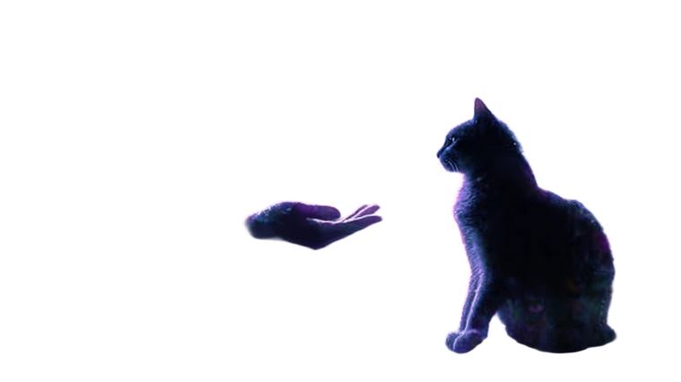 Healing Light Cat Vinyl Car Decal Sticker – Waterproof & UV-Resistant 5.4