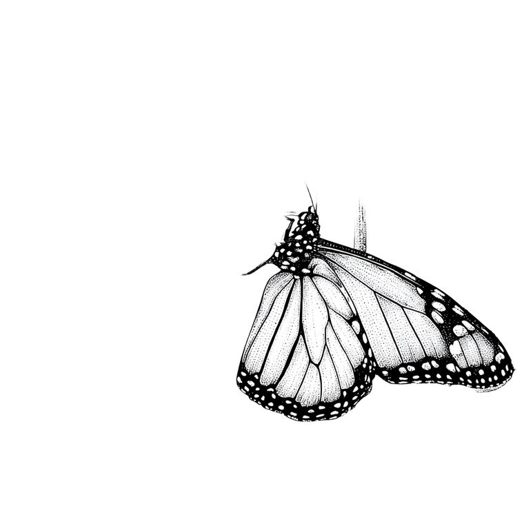 Monarch Butterfly Wildflowers Vinyl Car Decal Sticker – Waterproof & UV-Resistant 6.826666666666667"