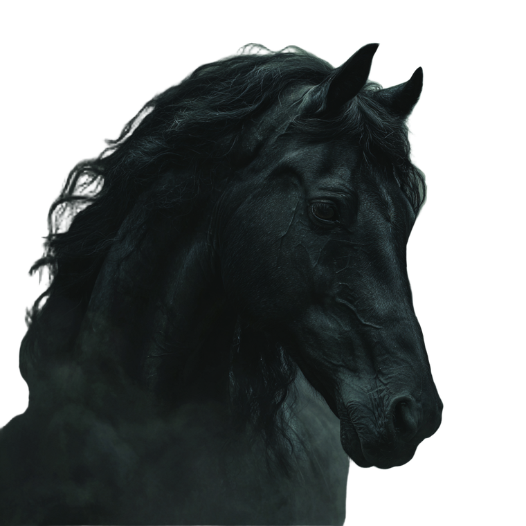 Black Horse V2 Vinyl Car Decal Sticker – Waterproof & UV-Resistant 3.4133333333333336"