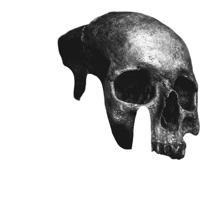 Hand Holding Skull V5 Vinyl Car Decal Sticker – Waterproof & UV-Resistant 3.4133333333333336"