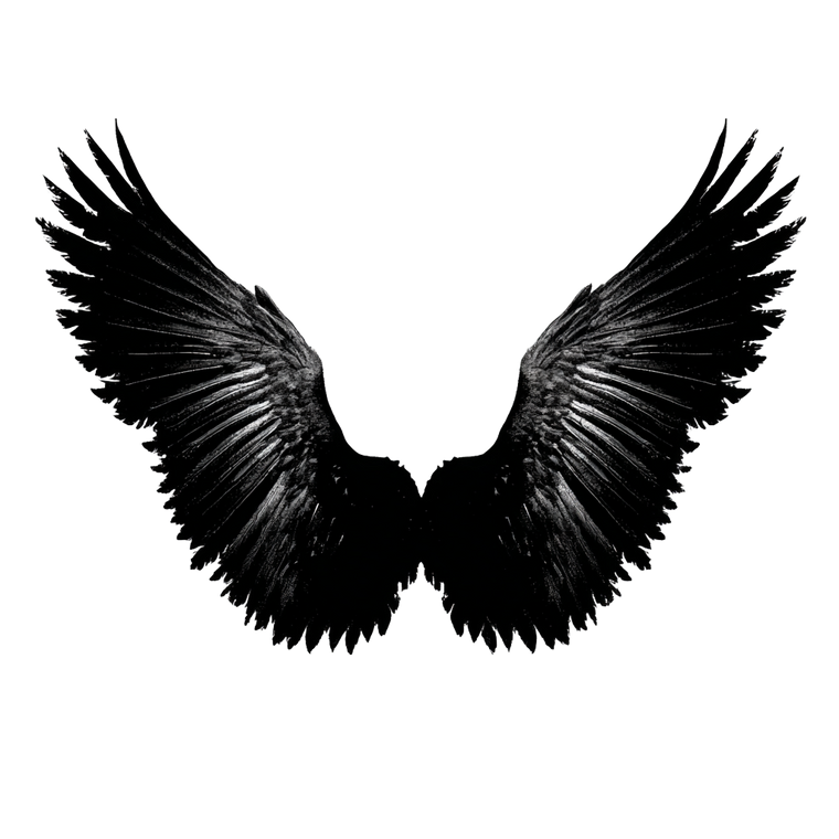 Wings Silhouette V2 Vinyl Car Decal Sticker – Waterproof & UV-Resistant 6.826666666666667"