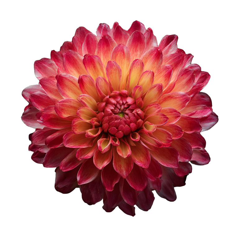 Flower Blossom Top Vinyl Car Decal Sticker – Waterproof & UV-Resistant 6.826666666666667"