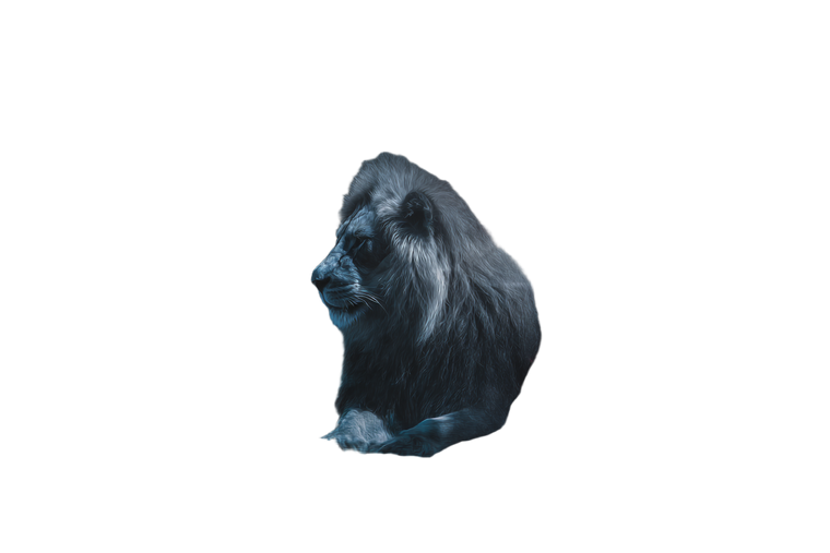 Lranquil Neon Lion Vinyl Car Decal Sticker – Waterproof & UV-Resistant 5.97333333333333