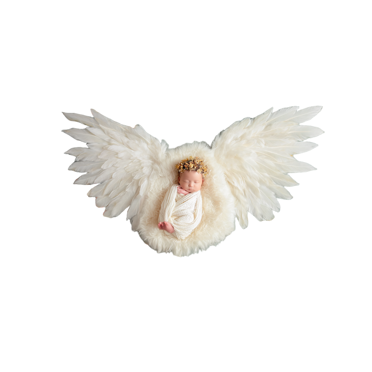 Newborn Angel Baby Vinyl Car Decal Sticker – Waterproof & UV-Resistant 6.826666666666667"