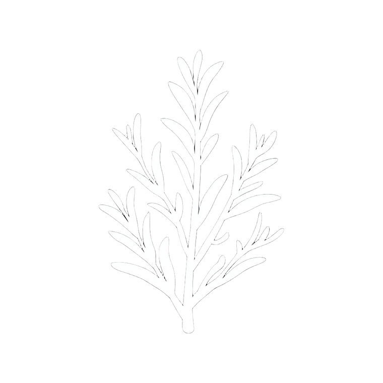Rosemary Icon Vinyl Car Decal Sticker – Waterproof & UV-Resistant 6.826666666666667"