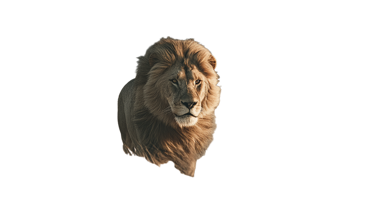 Running Lion V6 Vinyl Car Decal Sticker – Waterproof & UV-Resistant 2.72"