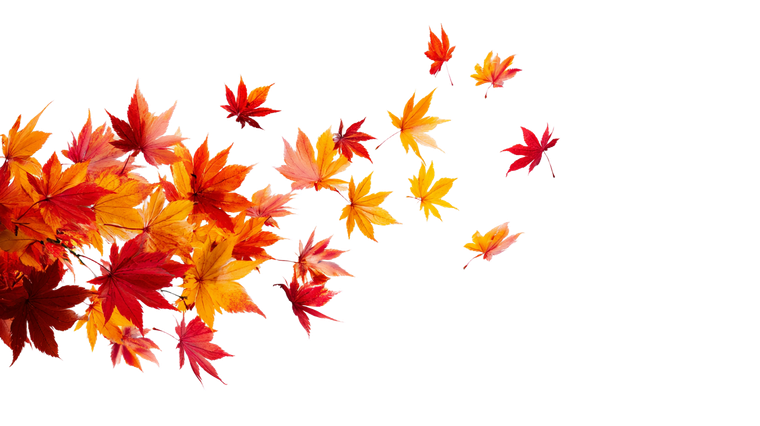 Flying Maple Leaves Vinyl Car Decal Sticker – Waterproof & UV-Resistant 2.72"