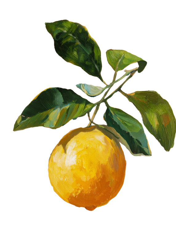 Lemon Illustration V3 Vinyl Car Decal Sticker – Waterproof & UV-Resistant 8.213333333333333"