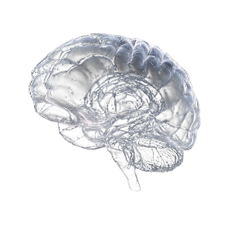 Digital Brain Visualization Vinyl Car Decal Sticker – Waterproof & UV-Resistant 3.4133333333333336"